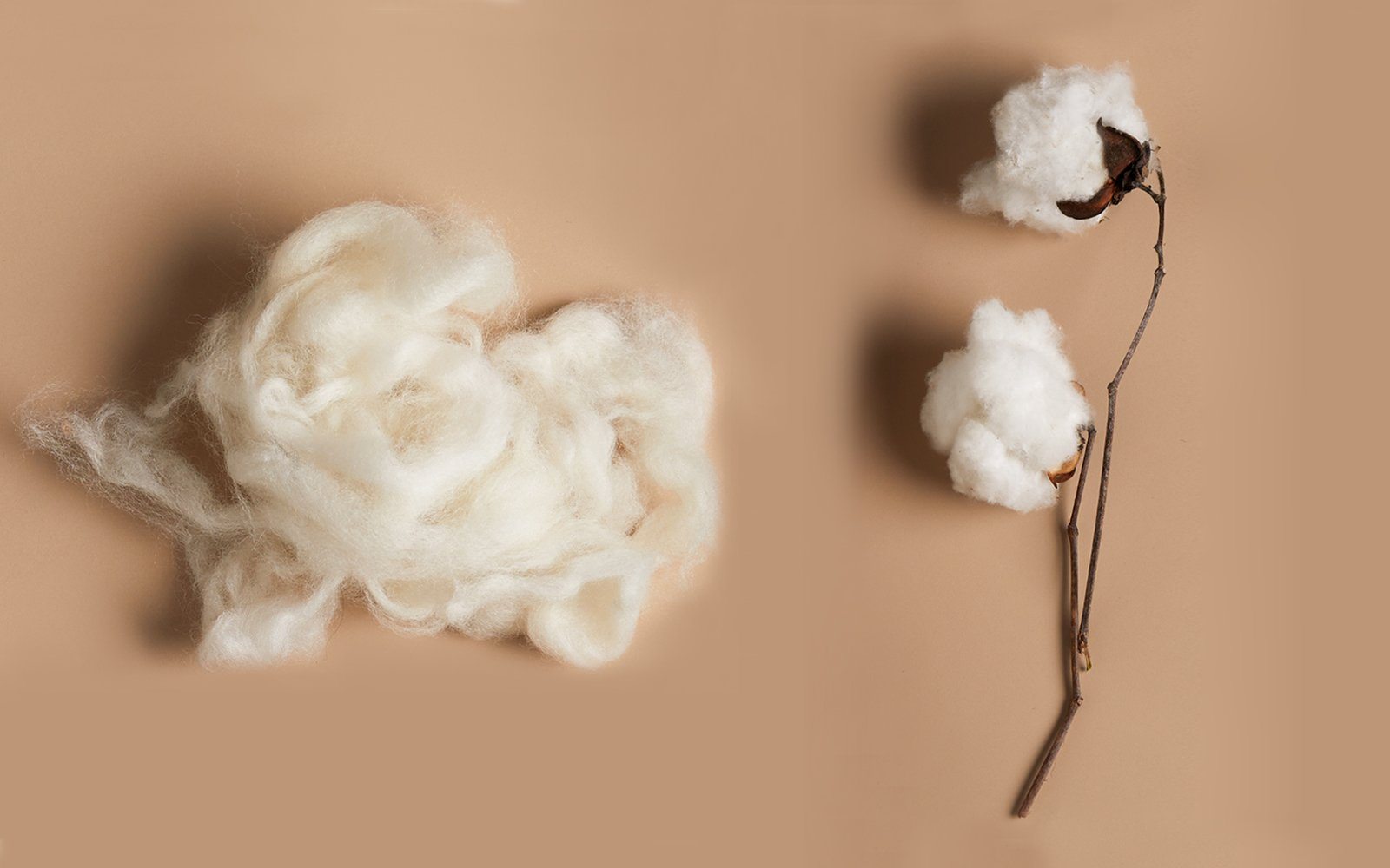 Merino wool or cotton, which fabric shoe is for you?