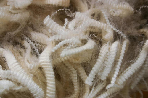 Neeman's Environment Contribution by making Shoes with Merino Wool