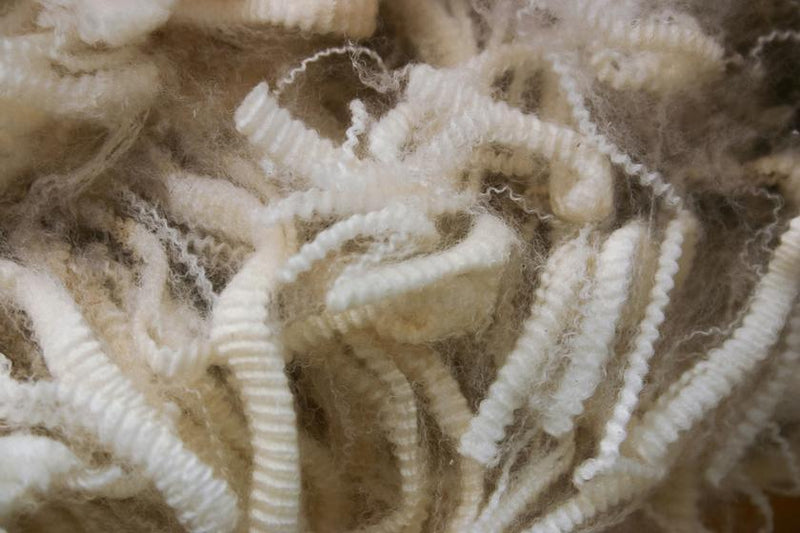 Neeman's Environment Contribution by making Shoes with Merino Wool