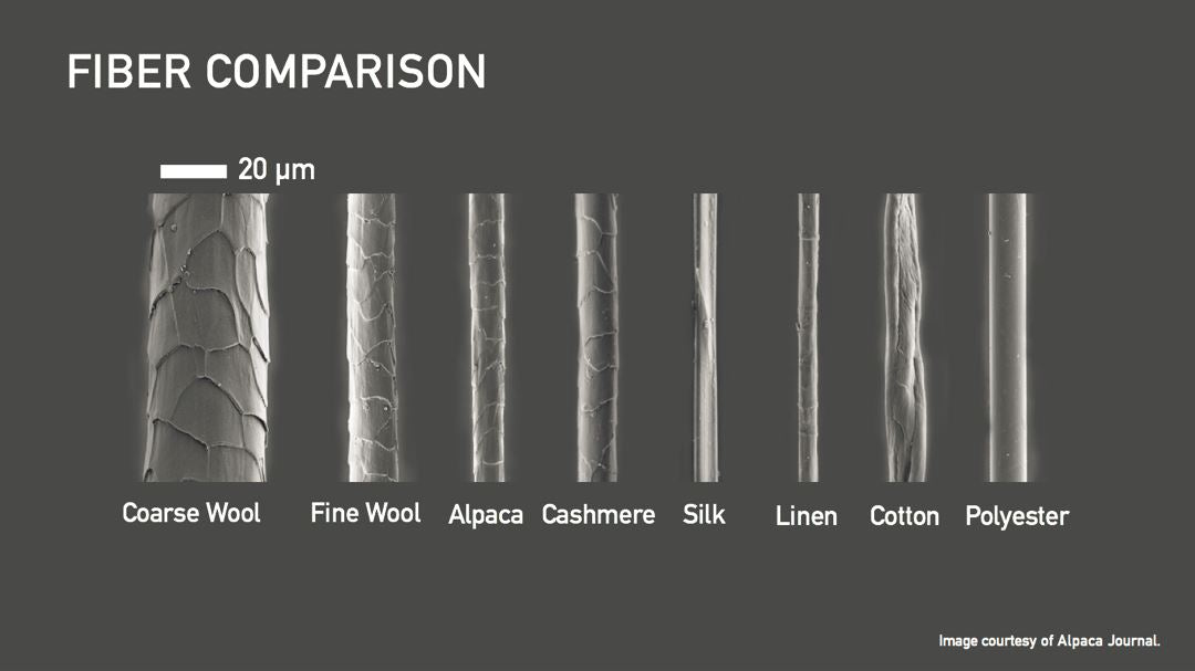 Why Merino Wool is better than Traditional Wool