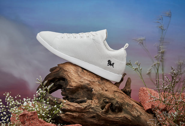 Introducing India’s First Ever Tree Sneakers