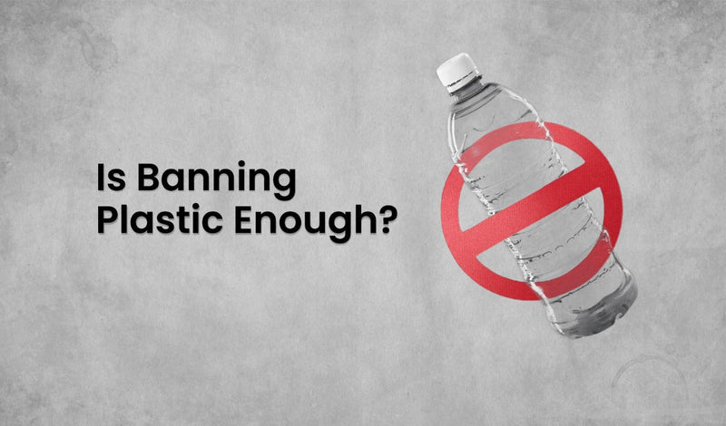 Plastic Bans and Sustainable Living