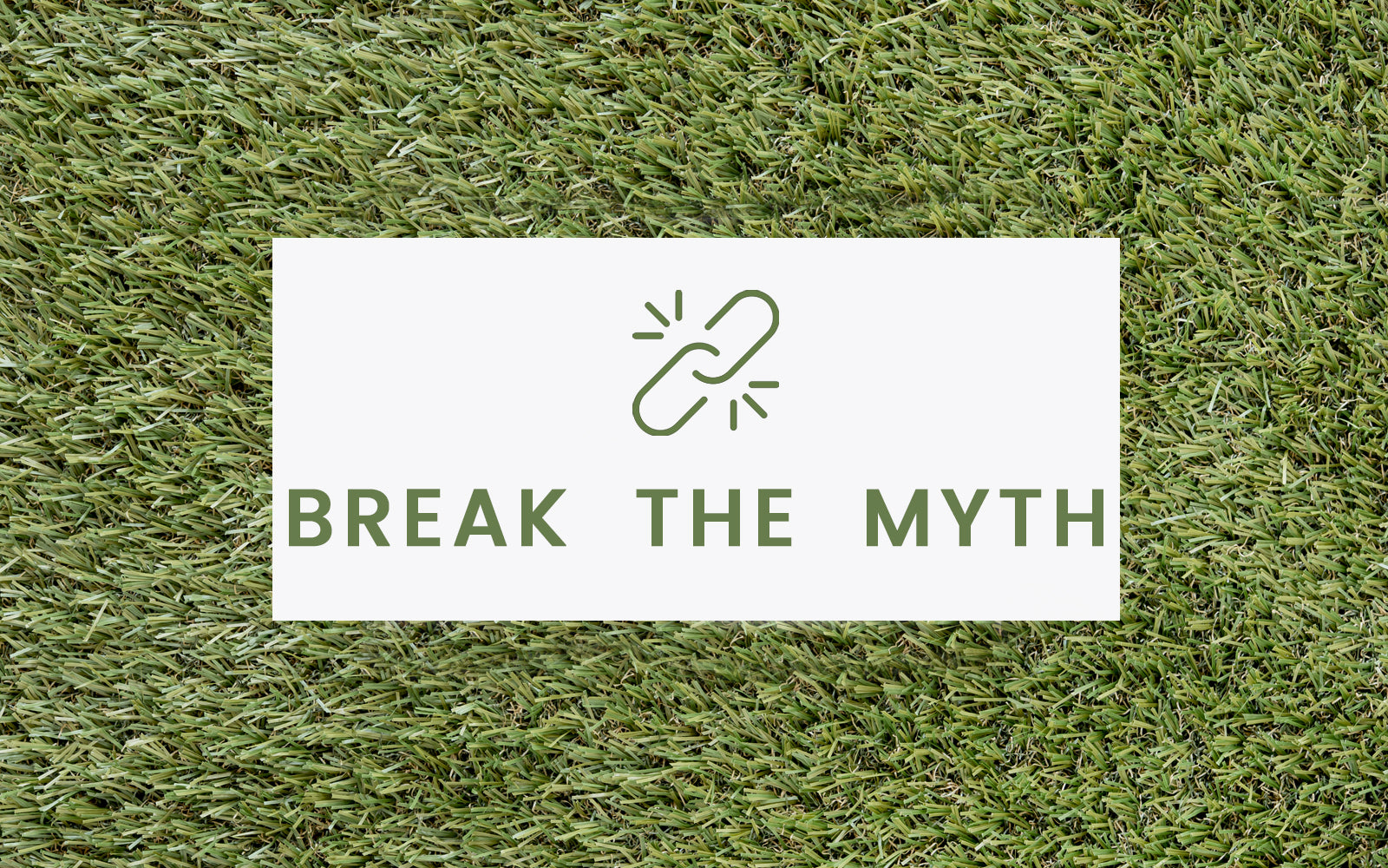 Time to Break the Myth about Sustainability