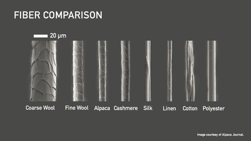 Why Merino Wool is better than Traditional Wool