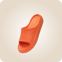 Slides