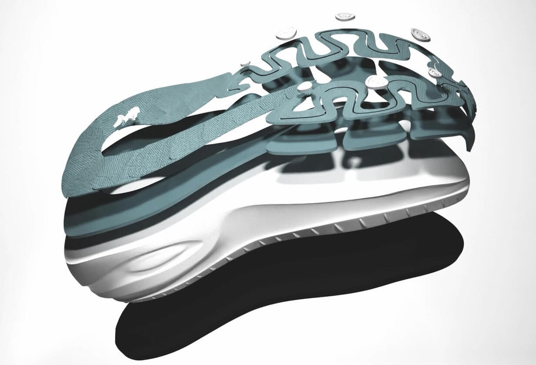 A biomechanical marvel