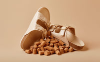 Rich Cream