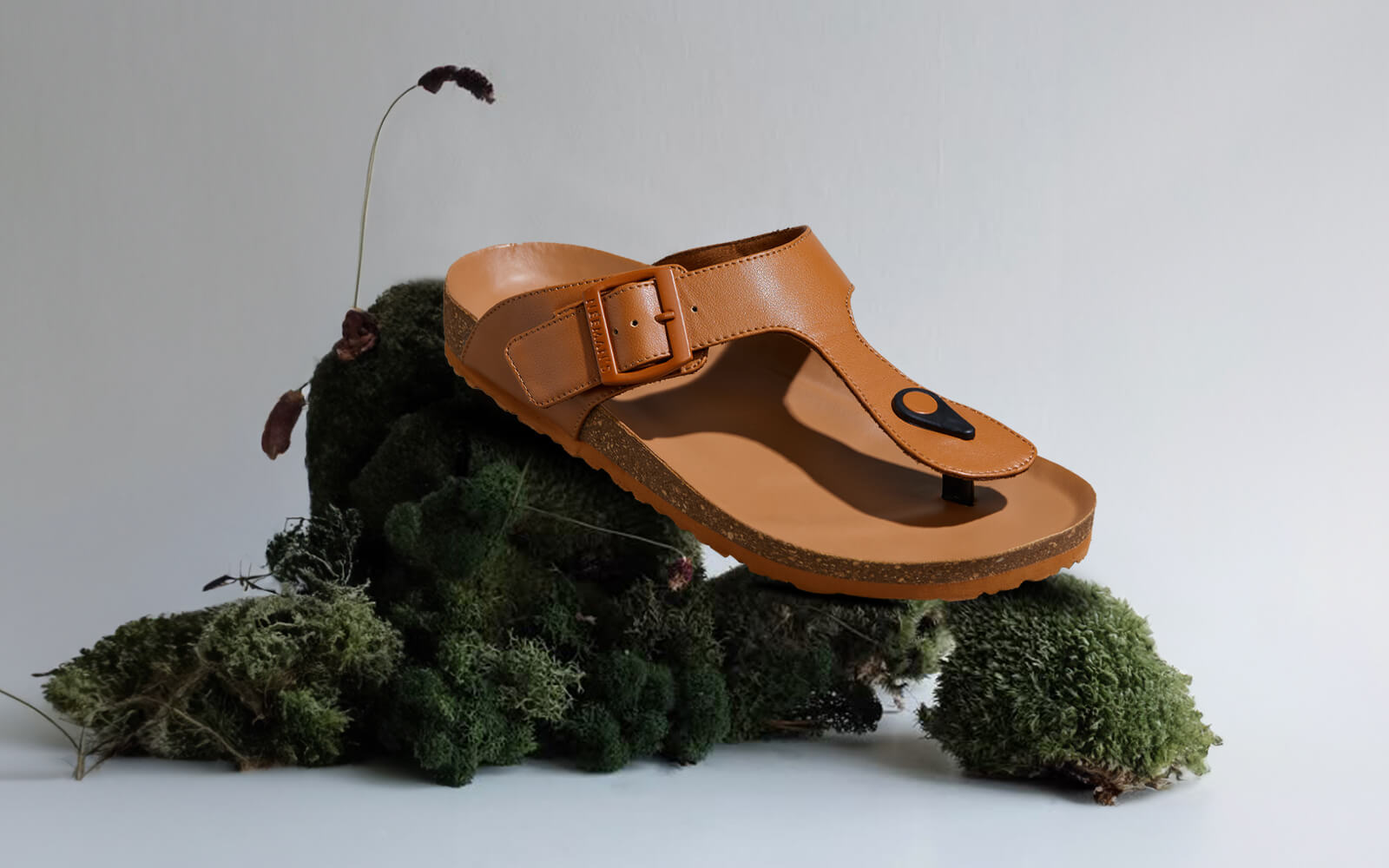 Tan