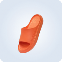 Slides