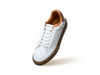 The Comfy Sleeks Sneakers in White-Brown for Casual Wear