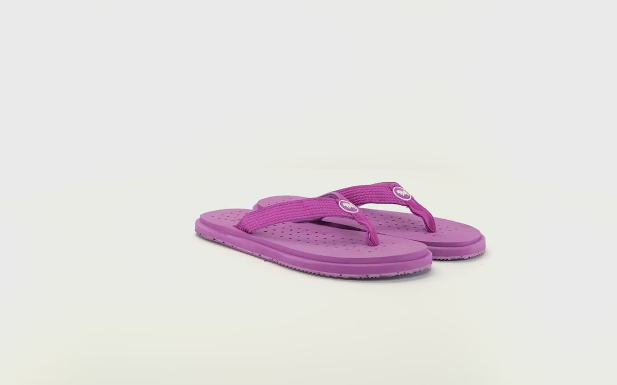 Purple Plum